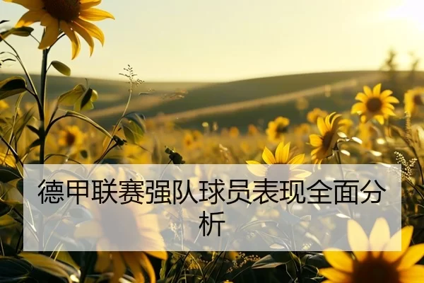德甲联赛强队球员表现全面分析
