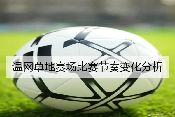 温网草地赛场比赛节奏变化分析